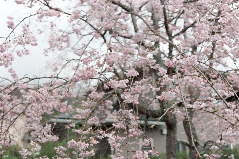 Featured image of post 2026福岡